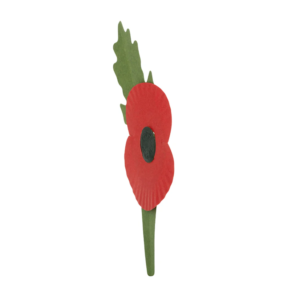 Plastic-Free Paper Poppy - £10 - Image 21