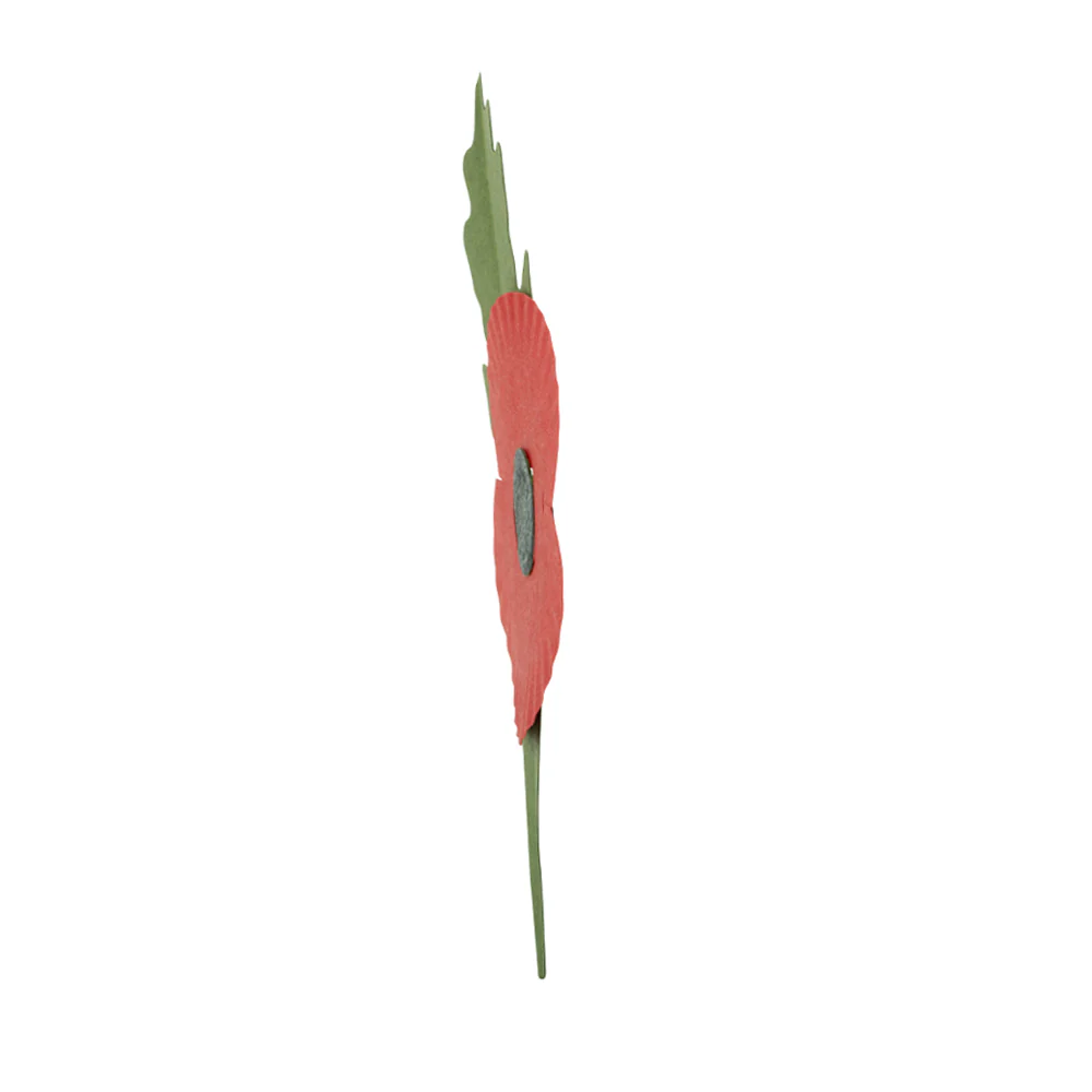 Plastic-Free Paper Poppy - £5 - Image 20