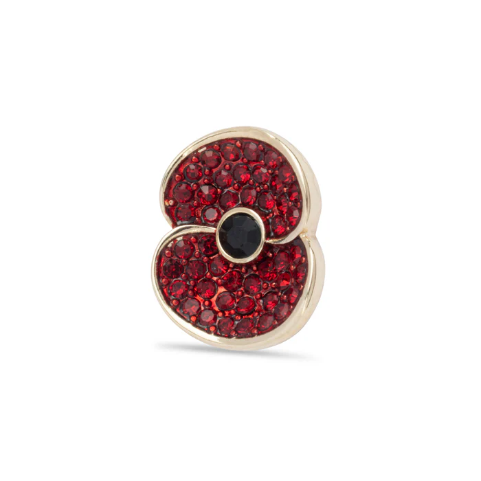 Pave Poppy Pin with Jet Centre - Image 2