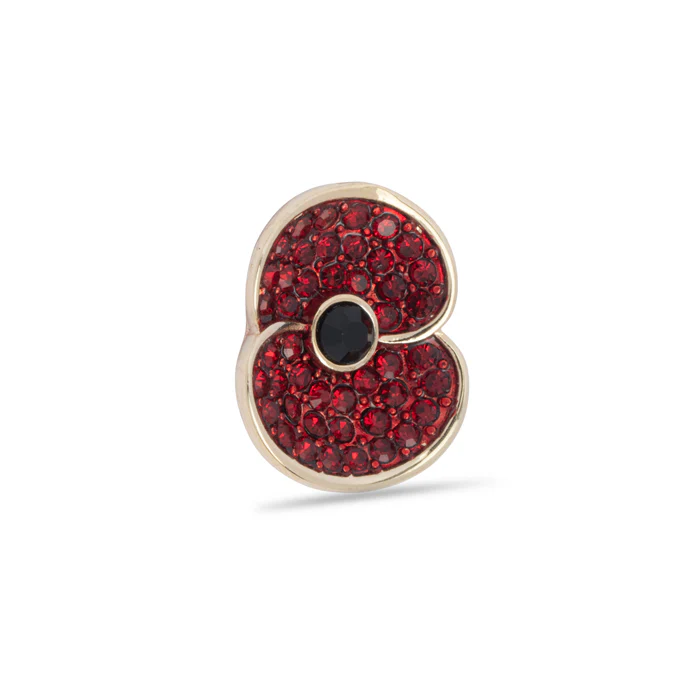 Pave Poppy Pin with Jet Centre - Image 3