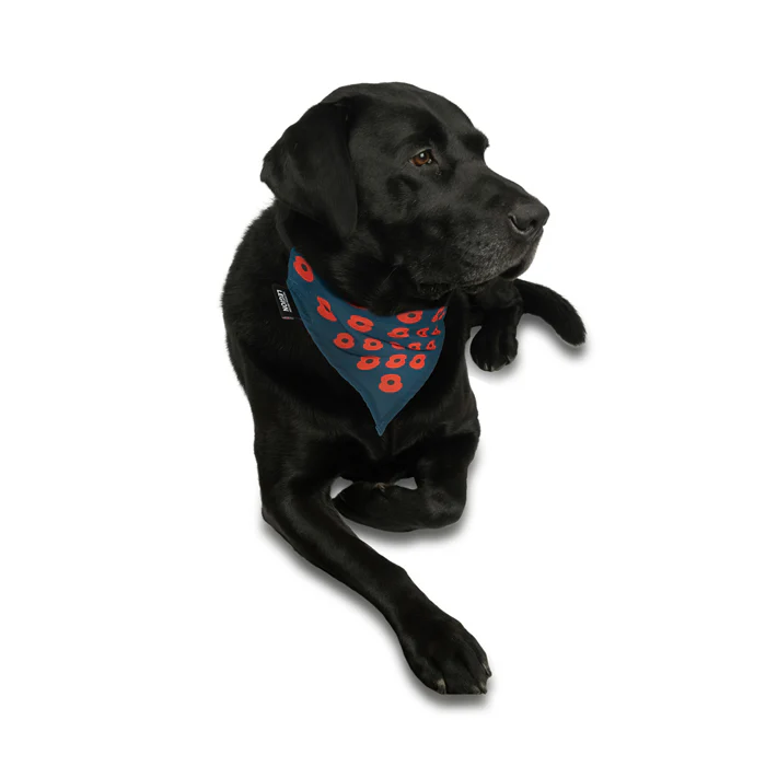 Poppy Pet Bandana - Image 4
